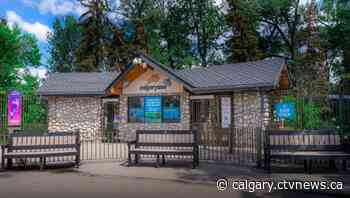 Wilder Institute/Calgary Zoo reopening west gate to visitors | CTV News - CTV News Calgary