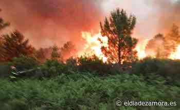 UGT Zamora, ante los incendios forestales | El Día de Zamora | Formato digital del periódico El Día de Zamora - eldiadezamora.es