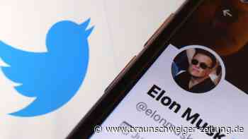 Musk will bei Twitter-Funktionen mitreden