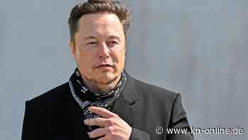 Musk will bei Twitter-Funktionen mitreden