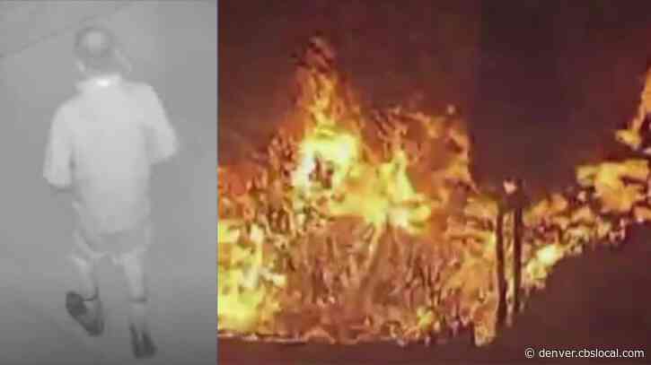 Photos Released In Wheat Ridge Arson Investigation