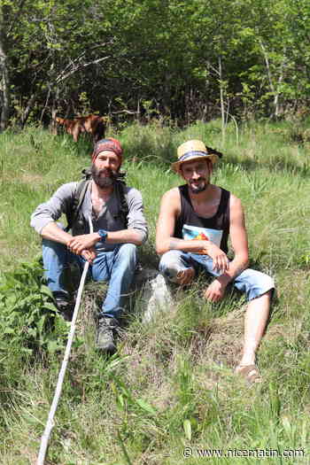 Belvédère: qui sont les nouveaux chevriers de la Gordolasque?