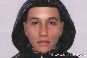 Police issue e-fit of man suspected of 22 sex attacks on women on Hackney Marshes - Evening Standard