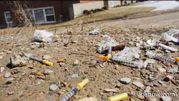 Local lawyer hopes for more decriminalization efforts in Saskatchewan - paNOW