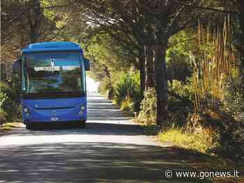 Partono i Mare Bus Tiemme da Siena, Poggibonsi, Chianciano - gonews