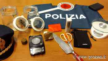 Controlli antidroga della Polizia di Siena, denunciato un 32enne - gonews
