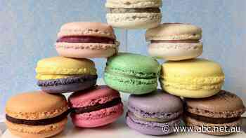 Biscuits and booze – but not much – gifted to Treasury staff