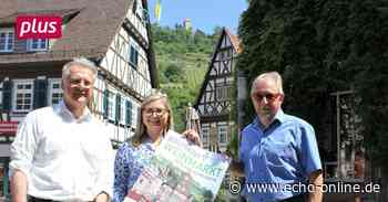 Vorfreude auf den Bergsträßer Weinmarkt in Heppenheim - Echo Online
