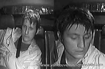 Man sought after Saanich bear spray incident – Vancouver Island Free Daily - vancouverislandfreedaily.com