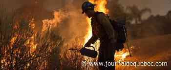 Sécheresse et feux d’artifice du 4 juillet ne font pas bon ménage à Los Angeles