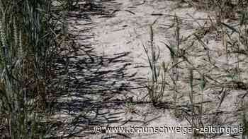 Wasser-Rationierungen in Norditalien - Hitze in Frankreich