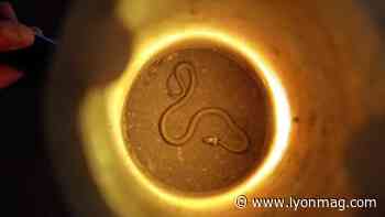 Lyon : un serpent découvert à la préfecture, les sapeurs-pompiers mobilisés - VIDEO - Lyon Mag