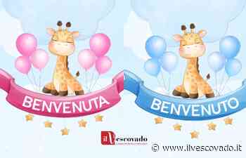 Positano e Tramonti danno il benvenuto a Julia e Alfonso Ferrara - Il Vescovado Costa di Amalfi