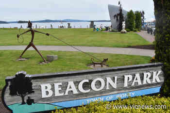 Standard and accessible portable toilets coming to Sidney's Beacon Park – Victoria News - Victoria News