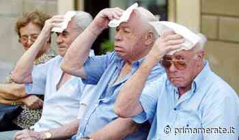 Emergenza caldo: Auser rinnova l'impegno versi gli anziani soli - Prima Merate