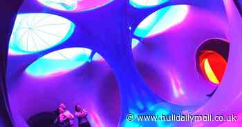 Giant and explorable 'labyrinth of colour' coming to Hull's Pearson Park - Hull Live