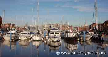 'Thunder fever' warning for Hull ahead of pollen surge and hot weather - Hull Live