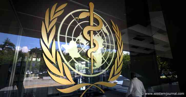 Op-Ed: The World Health Organization Is Full of Ideologues Masquerading as Experts
