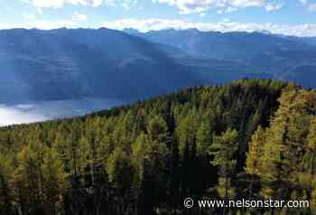 Lower Kootenay Band demands halt to Argenta-Johnsons Landing logging – Nelson Star - Nelson Star