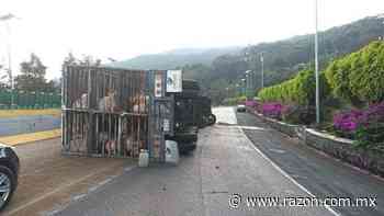 Vuelca tráiler en la México-Cuernavaca; registran cierre parcial - La Razón de México