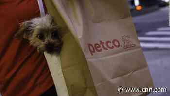 Petco is launching stores for cows, goats and horses
