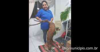 Moradora de Brusque colhe mandioca de 20 quilos na horta de casa, no bairro Águas Claras - O Município