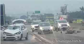 Cavalo morre em acidente com carro na rodovia Antônio Heil, em Brusque - O Município