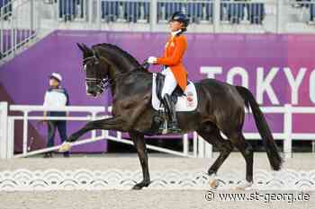 Niederlande geben Nationenpreisteams für Rotterdam und Aachen bekannt - - St.GEORG