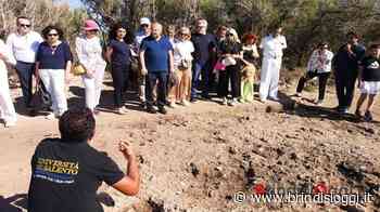 Necropoli dell'età del Bronzo a Torre Guaceto, riprendono gli scavi - BrindisiOggi