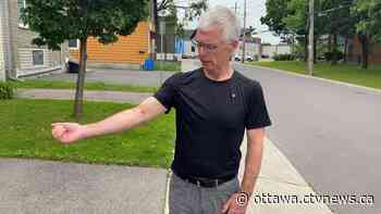 Vanier residents say dog attack symptom of larger problems - CTV News Ottawa