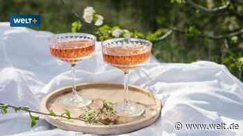 Bester Roséwein: Empfehlungen vom Weinkritiker - Das sind die 10 besten Weine - WELT