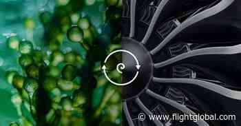 Aviation can't decarbonize without Sustainable Aviation Fuel (SAF) - Flightglobal
