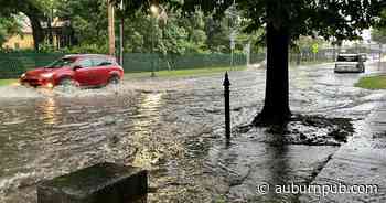 UPDATED: Storm knocks out power in parts of northern Cayuga County - The Citizen