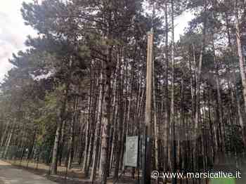 Storie in circolo, ad Avezzano spettacoli teatrali e laboratori di lettura: come partecipare - MarsicaLive