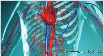 Ad Avezzano professionisti a confronto sul tema degli accessi vascolari: come iscriversi gratuitamente - MarsicaLive