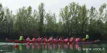 Sabato è Lake Festival ai laghi Curiel di Campogalliano - Voce.it