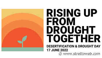 Sicilia, 17 giugno a Lentini il convegno “Complessità e tutela dell’ambiente” - StrettoWeb