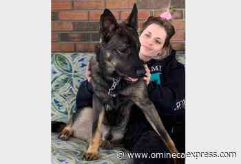 Search continues for woman, dog near Kelowna creek during flood emergency – Vanderhoof Omineca Express - Omineca Express