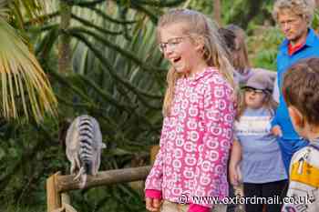Dream night for sick and disabled children as wildlife park opens after hours