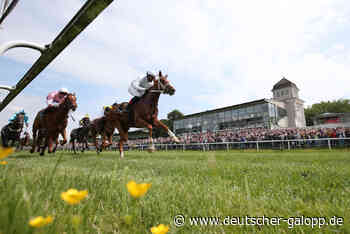 Zehn im Großen Preis der Wirtschaft am Sonntag - Deutscher Galopp