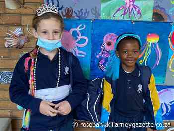 Learners taught of impact of human actions on the ocean - Rosebank Killarney Gazette