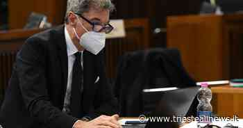 Ambiente, Centis (Citt): “Giunta si impegna a salvaguardare siepi... - Trieste News