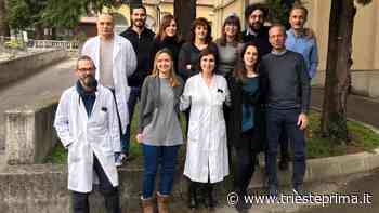 Italia e Slovenia insieme per combattere le malattie rare dei bambini - TriestePrima