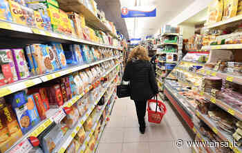 Prezzi: a Trieste aumentano del 7,6% in un anno, a Udine +7% - Agenzia ANSA