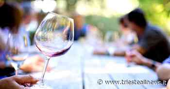 Aperitivo con l'arte (sul Carso): dove il sapere incontra il sapore - Trieste News