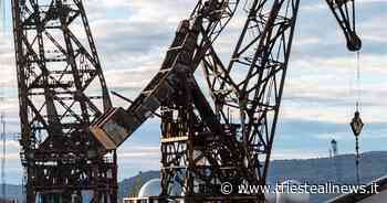 Porto Trieste green, D'Agostino: “Servono 150MW, quanto intera città” - Trieste News