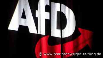 AfD entscheidet über neue Parteispitze und künftigen Kurs