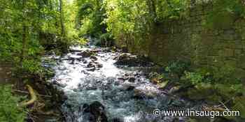 Residents of Oakville, Burlington, Milton advised to be careful around flooded waterways | inHalton - insauga.com