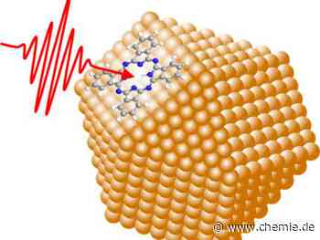 Neue Einblicke zu Anordnung und Mobilität von Molekülen auf Nanopartikel-Oberfläche