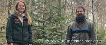 Neue Ansprechpartnerin für Waldbesitzer - Traunsteiner Tagblatt